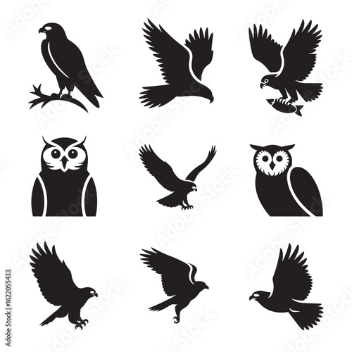 Collection of Black and White Eagle and Owl Silhouettes Depicting Flight and Wisdom Symbols