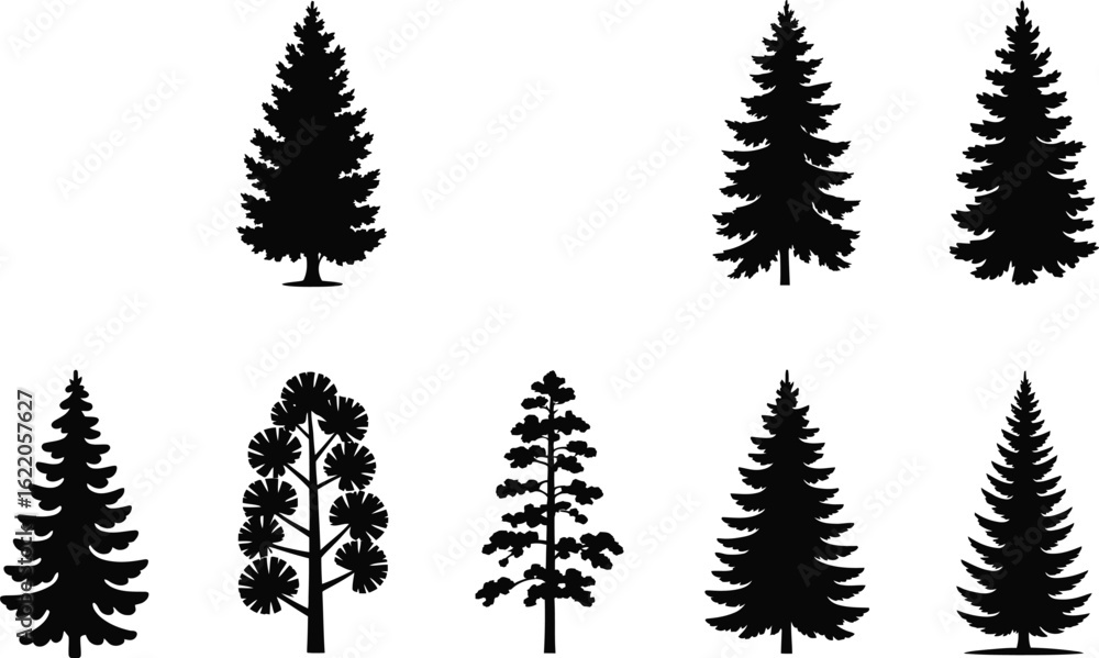 Obraz premium Evergreen trees silhouette collection pine trees fir trees
