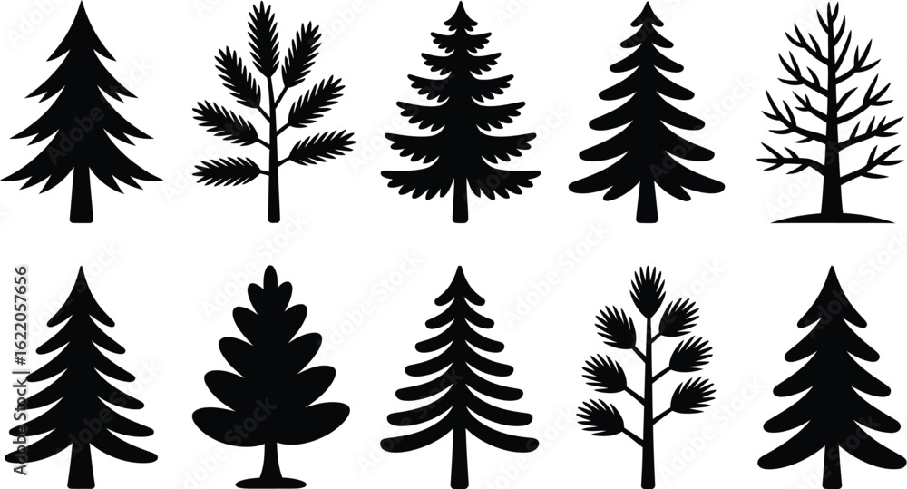 Naklejka premium Evergreen pine fir spruce trees vector