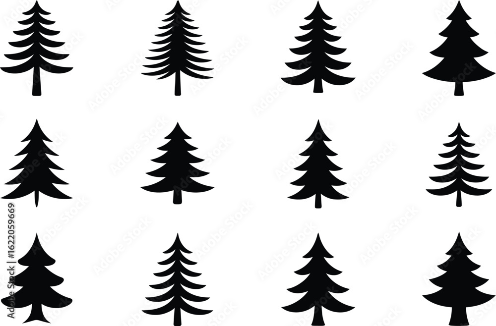 Obraz premium Evergreen trees silhouettes black white