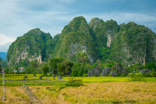 Landscape rice fields mountains nature scenic travel asia Indonesia, makassar tourism
