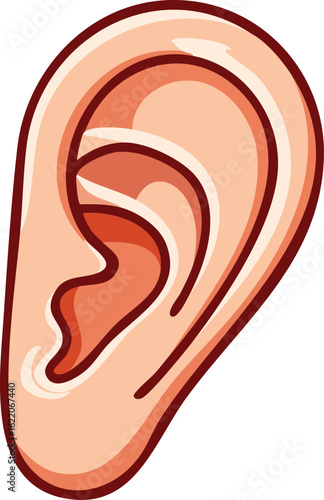 Illustration of a human ear with detailed anatomical features, depicted in a cartoon style.