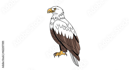Majestic white headed eagle perched proudly against a clean white background displaying its sharp talons and keen eyes