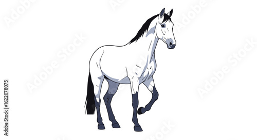 Graceful white horse with dappled coat trotting elegantly across a white background showcasing its musculature and refined gait