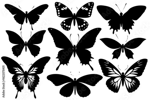 Vector art of silhouette butterflies collection