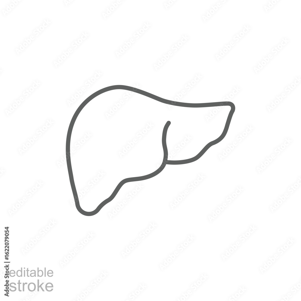Obraz premium Liver Icon, Human Organ Symbol, Medical Outline Illustration, Editable Stroke
