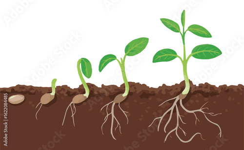 new life concept