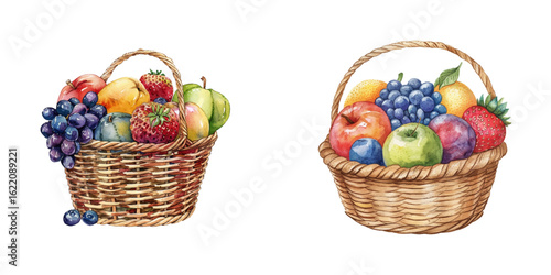 fruits in basket watercolor vector illustration