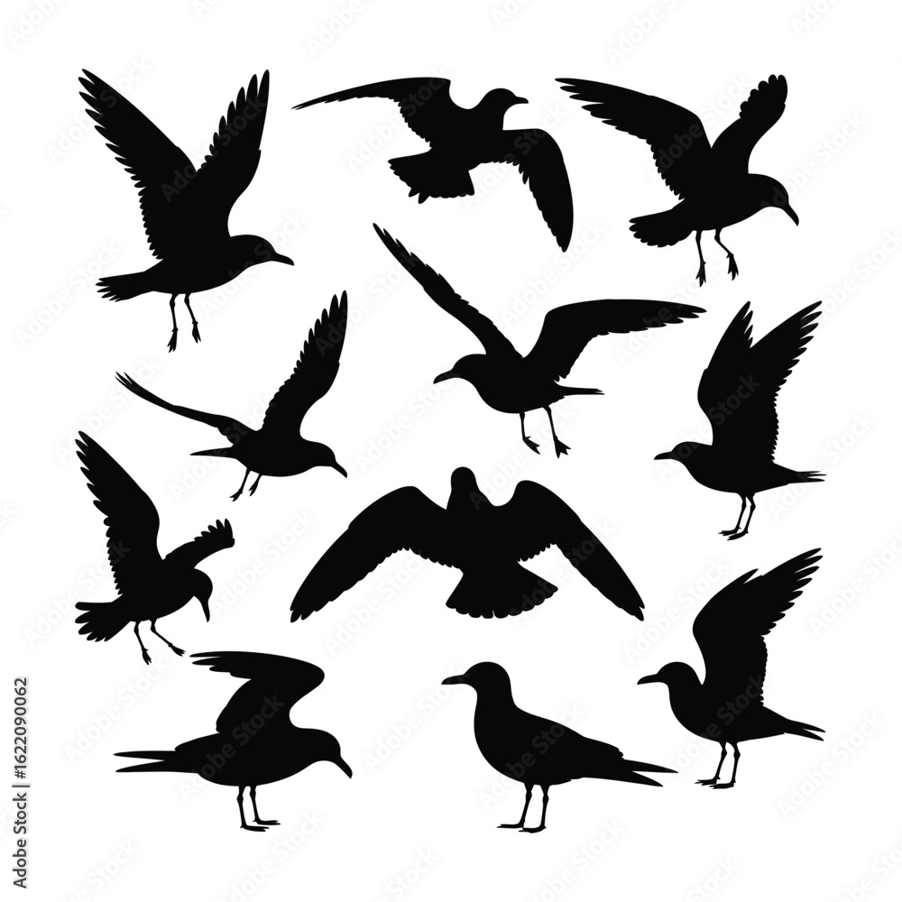 Obraz premium Collection of silhouetted seagulls in various flight and standing poses