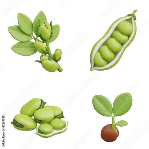 Wallpaper Mural Four stages of fava bean growth and harvest Torontodigital.ca