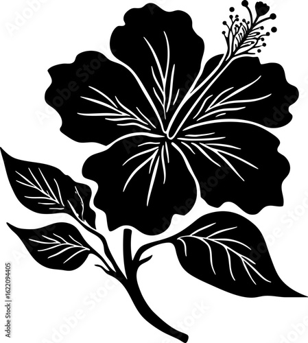 Black and White Hibiscus Flower Line Art Illustration