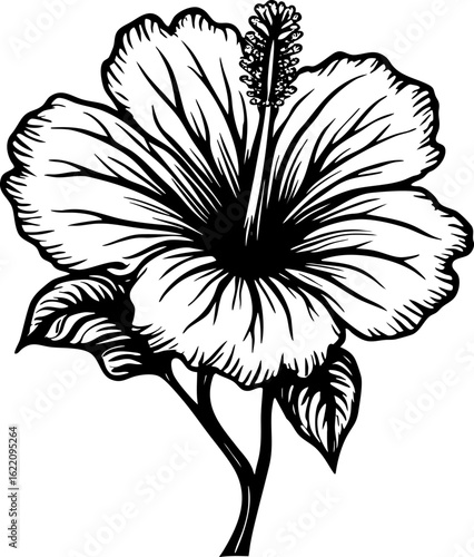 black and white flowers