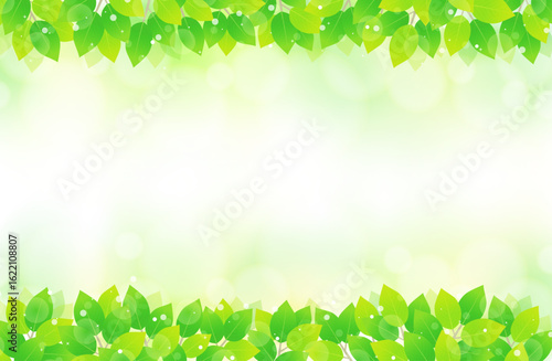 新緑 葉っぱ 上下 緑背景 素材 フレーム イラスト