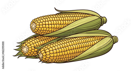corn isolated on white background