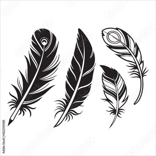 A vector illustration set featuring various fluffy feathers, quills, and plumes for your creative art and design projects