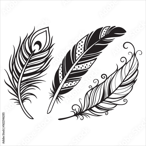 A set of vector illustrations depicting various feathers, from fluffy plumes to vintage quills