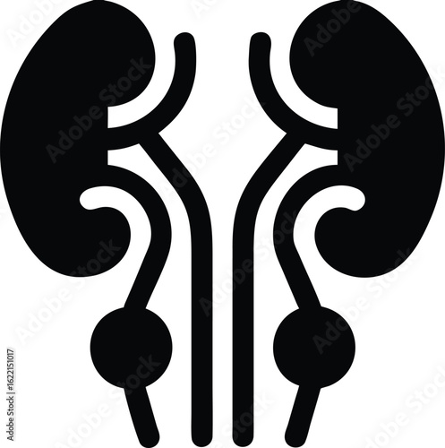 Human kidney and urinary system icon