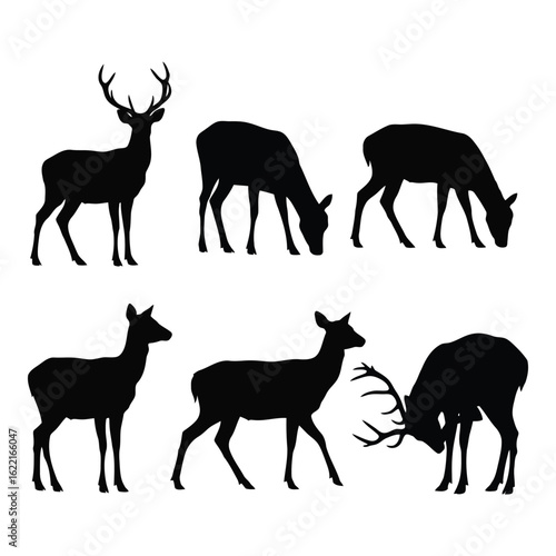 Art of collection of deer silhouettes in various poses, including standing, grazing, and sparring, isolated on a white background