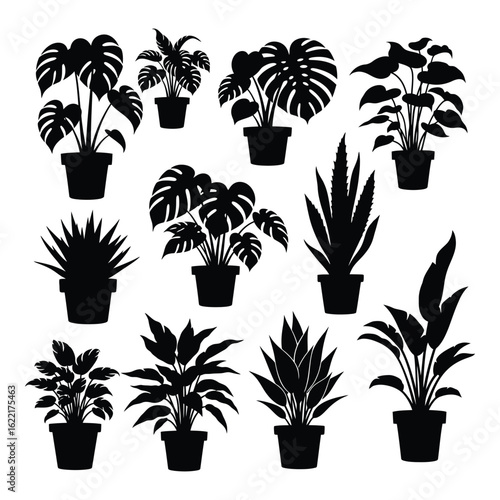 Art of collection of silhouetted houseplants in pots, isolated on a white background, showcasing diverse leaf shapes and growth patterns