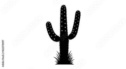 Cactus silhouette with spines isolated on white background in vector format