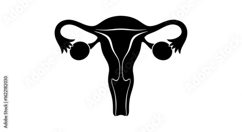Silhouette of a female uterus isolated on white background, anatomical illustration