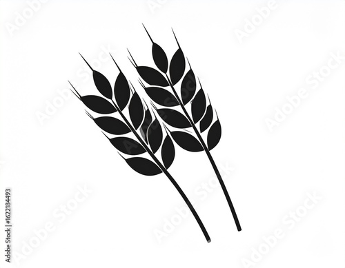 Wheat ears isolated on white. Barley vector icon. Vector illustration.