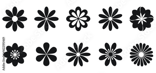 Elegant single flower silhouette with vibrant color options
