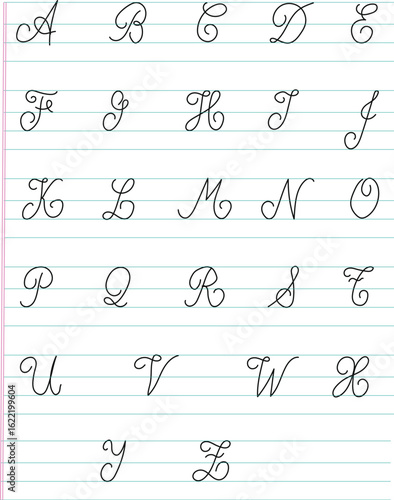 Hand drawn cursive handwriting alphabet vector art with uppercase  letter on lined guides. illustration for educational materials, handwriting practice, teaching, business and posters. 