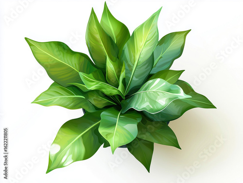 Wallpaper Mural Vibrant green plant with lush leaves. Torontodigital.ca