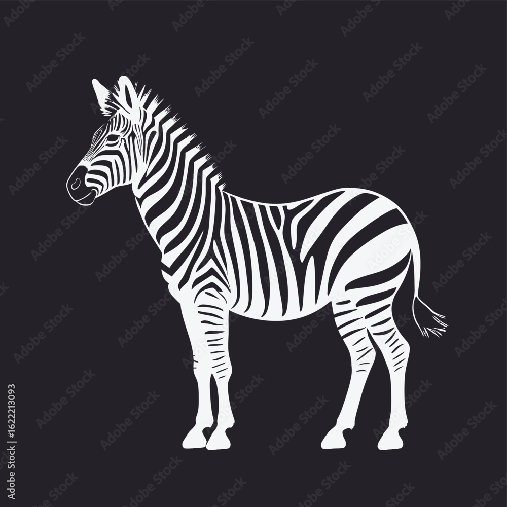 Obraz premium zebra vector illustration