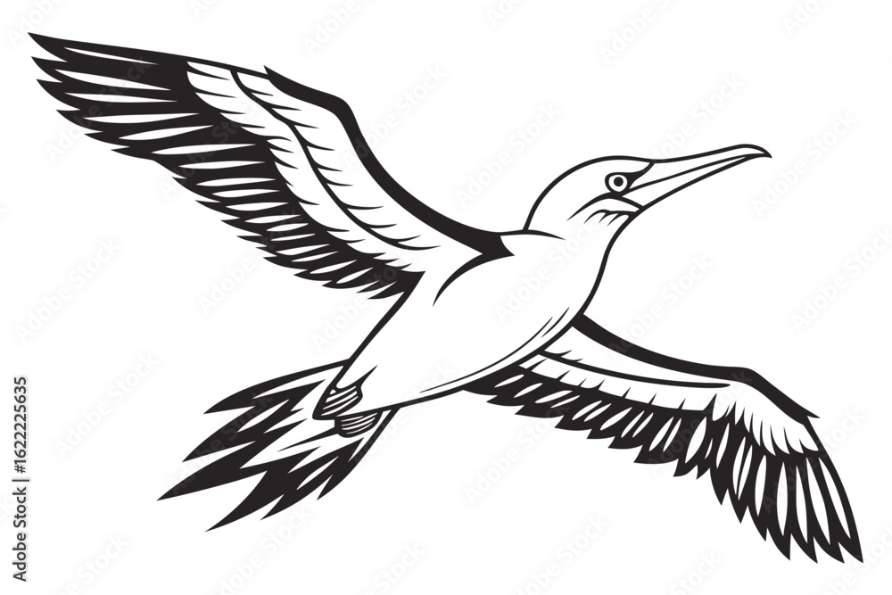 Fototapeta premium black and white bird