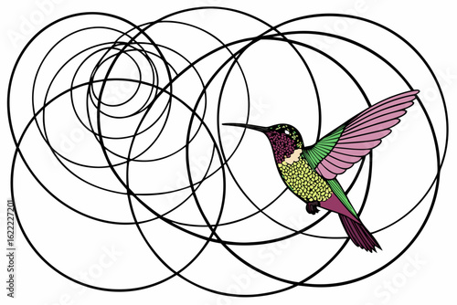 bird in a cage