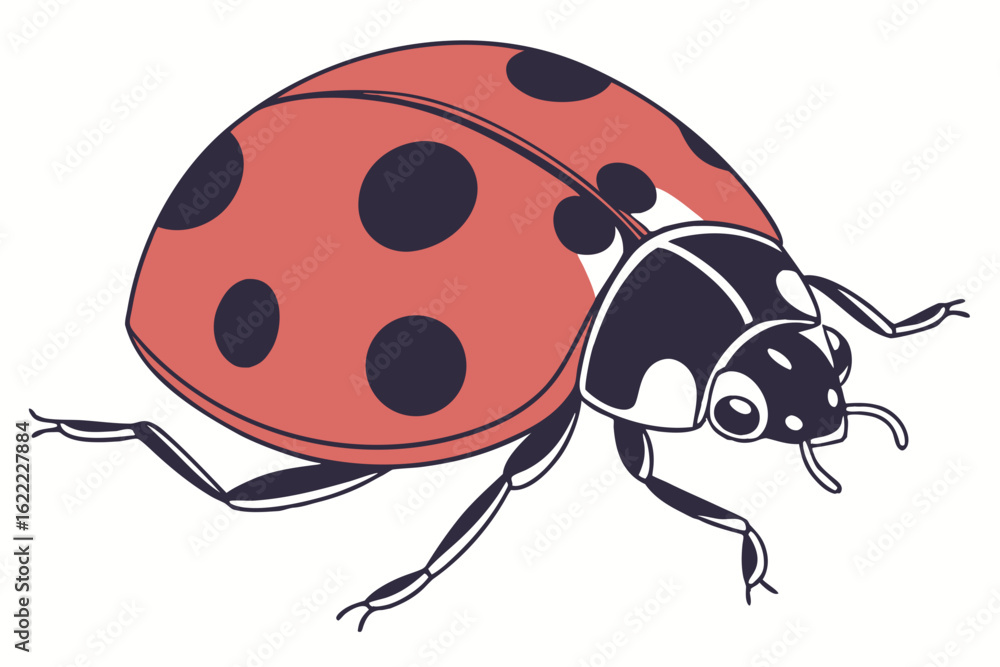 Fototapeta premium ladybug on white background
