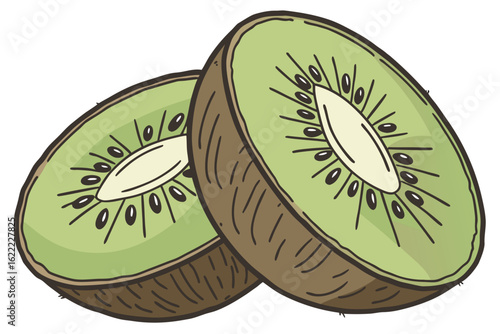kiwi fruit on white background
