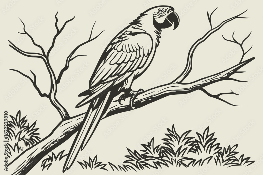 Fototapeta premium bird on branch
