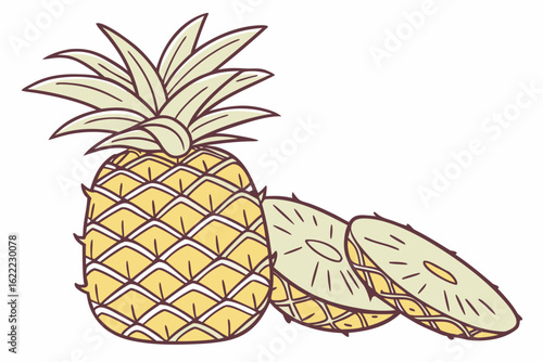 pineapple vector illustration