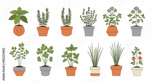 Collection of potted plants with various foliage and flowers