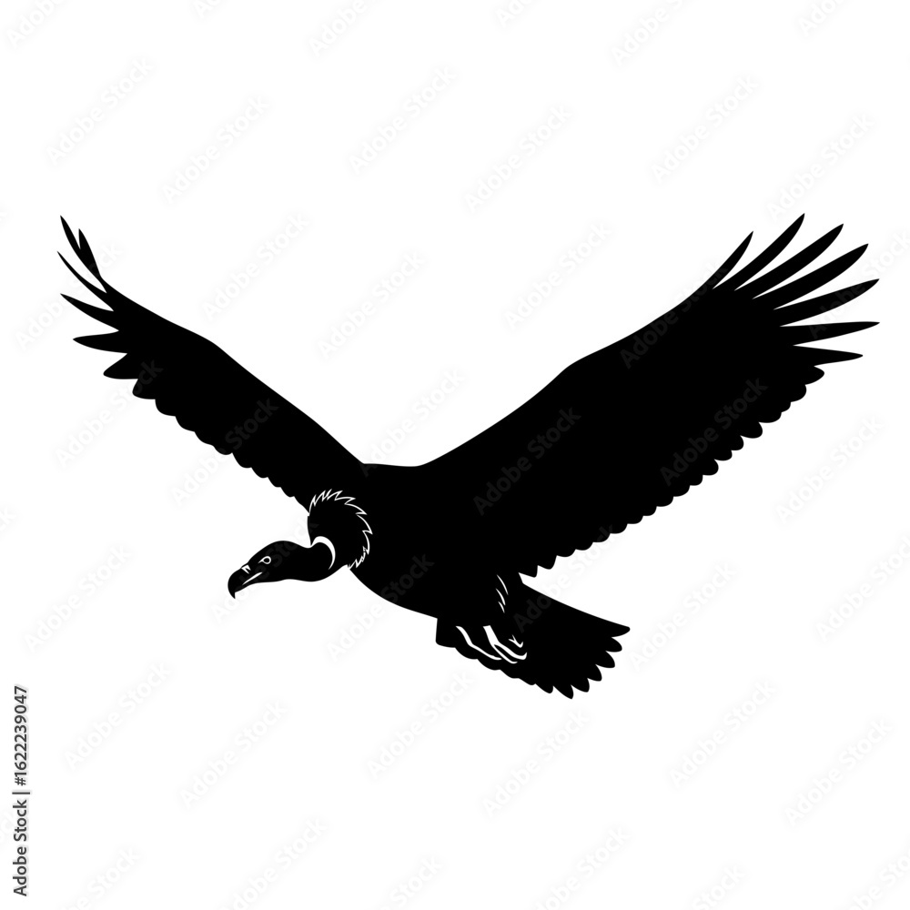 Obraz premium Silhouette of a bird with outstretched wings flying against a white background.