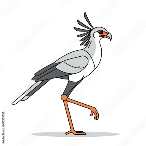 Cartoon secretary bird walking with grey plumage and long legs on white background.