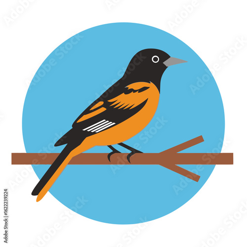 Bird with orange and black plumage perched on a branch against blue circle.