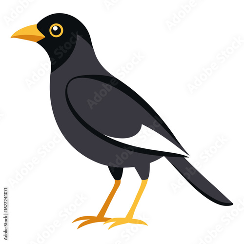 Modern Mynah Bird Vector Style on White