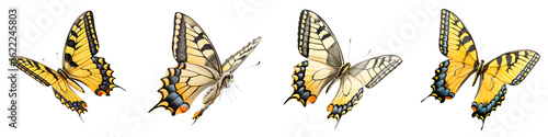 Eastern Tiger Swallowtail Butterflies Set: Watercolor, Yellow, Nature Art