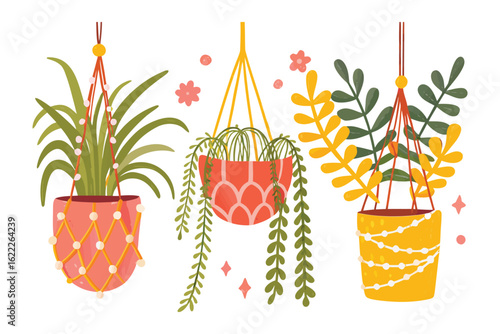 Hanging Garden Delights: A trio of charming macrame plant hangers showcases an array of vibrant potted plants. The scene is a celebration of interior décor.