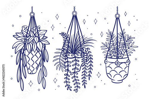 Hanging Plants with Bohemian Style: Three beautiful hand-drawn hanging planters filled with lush greenery and intricate macrame designs evoke a sense of tranquility and bohemian aesthetic appeal.