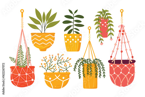Indoor Plant Display: Various decorative indoor plants, meticulously arranged and suspended. Each plant brings a touch of natural beauty and refreshing style.