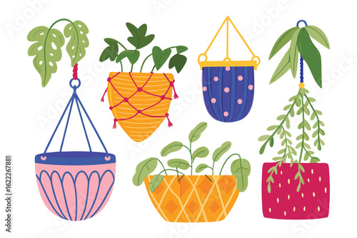 Hanging Plants: An array of vibrantly illustrated hanging plants, each in a unique pot, brings a touch of nature indoors with an artsy flair.