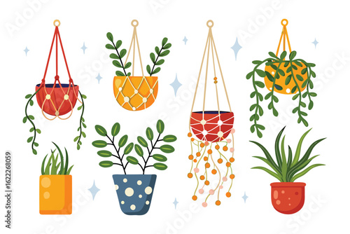 Vibrant Greenery: A collection of stylish hanging planters, overflowing with lush, healthy foliage and decorative charm.