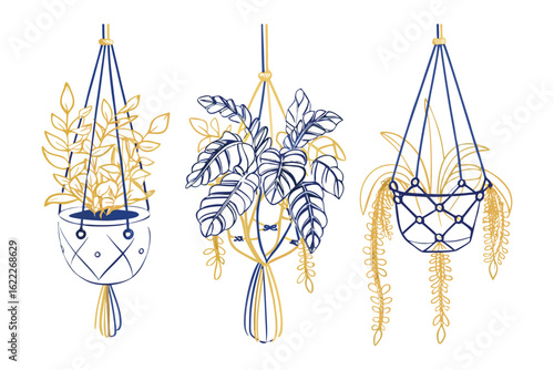 Hanging Plant Collection: A curated collection of illustrated plants in handmade macrame plant hangers. A celebration of botanical art, a touch of minimalist charm, perfect for lifestyle decor.