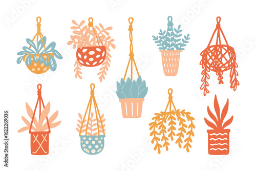 Decorative Potted Plants Illustration: A collection of colorful potted plants with various leaf shapes, sizes and styles, arranged in different patterned hanging planters.