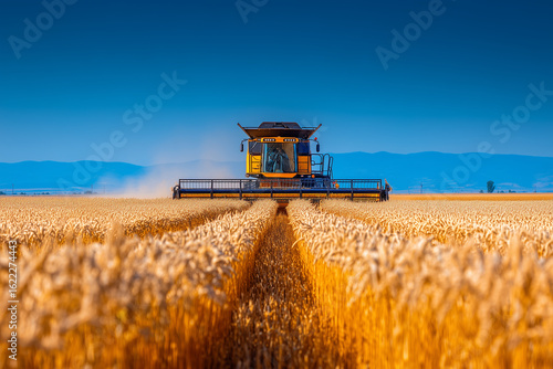 close up of modern combine harvester working in golden wheat field

